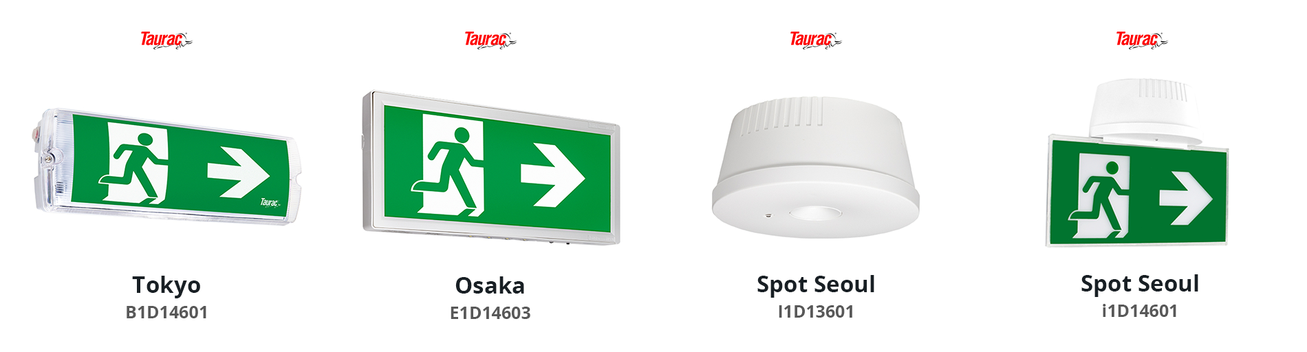 taurac_basic_2024